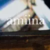 Amiina - I'd Like to Teach the World to Sing - Single